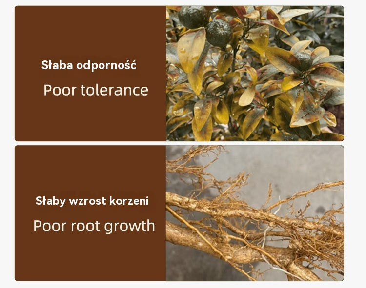 【Kup 1, a 1 dostaniesz gratis】🍎 Środek czyszczący do sadów – działanie antybakteryjne + 50% zniżki!